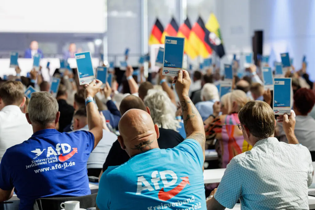 AfD delegates raise their voting cards at a convention in Magdeburg