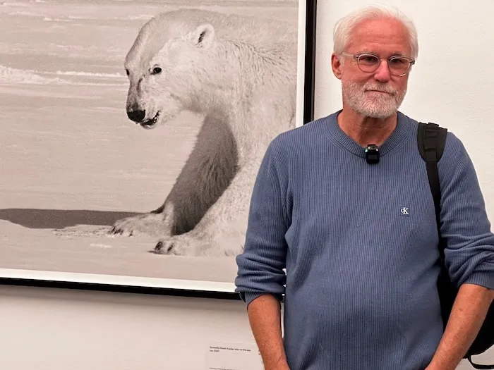 Geopolitics, mineral resources and Greenland's ice